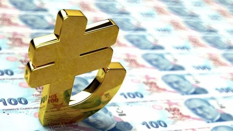 Merkez Bankası'ndan yeni hamle: Dijital Türk Lirası yolda