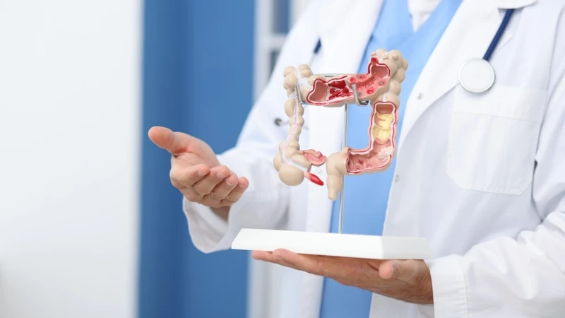 Bağırsaklar ikinci beyin mi? Mikrobiyomun şaşırtan etkileri