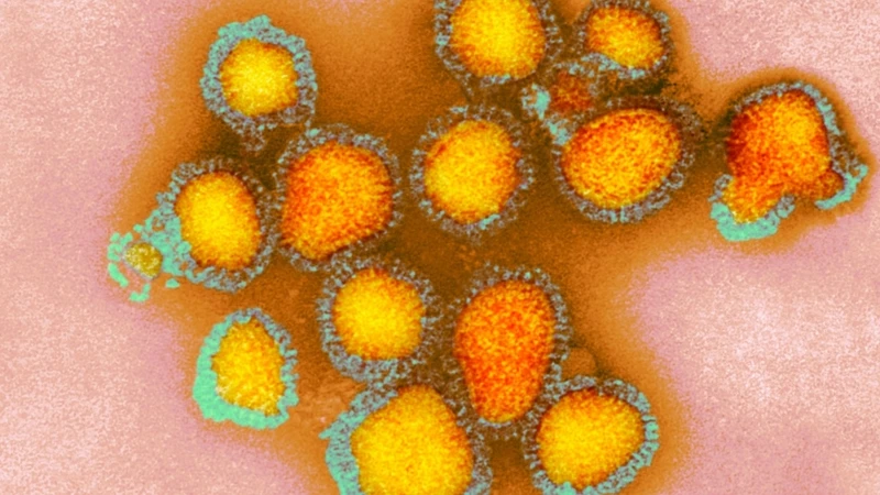 Yeni H3N2 Salgını Kuzey Yarımküreyi Sardı
