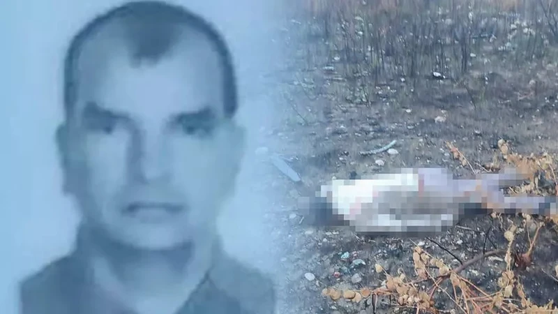 Mersin'de Viyadükten Düşen Sürücü Hayatını Kaybetti: Olayın Sırrı Çözülmeye Çalışılıyor