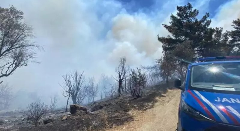 İzmir Seferihisar’da Orman Yangını: Havadan ve Karadan Müdahale Devam Ediyor - görsel 1