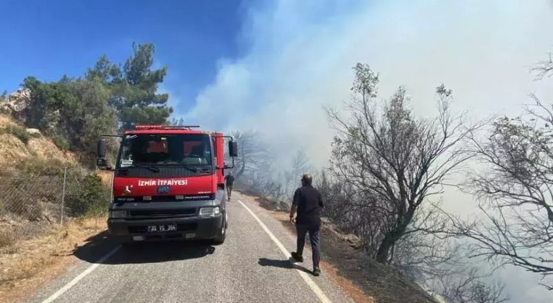İzmir Seferihisar’da Orman Yangını: Havadan ve Karadan Müdahale Devam Ediyor - görsel 2