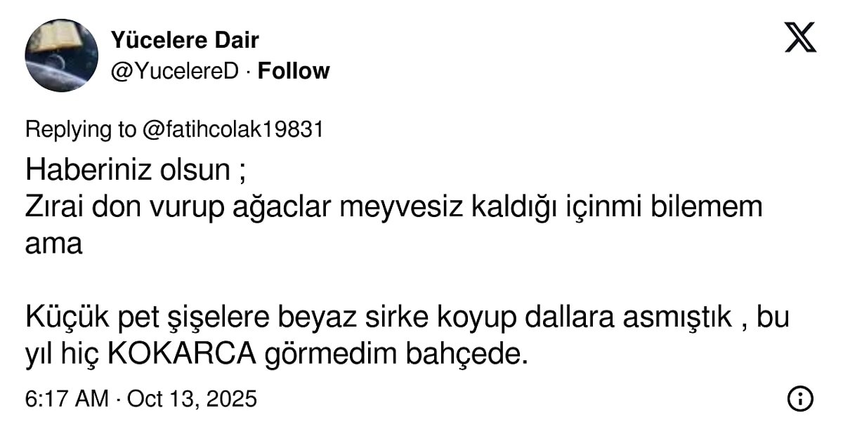 Türkiye’de Kokarca Alarmı: “Son Virajdayız” Uyarısı Gerçek Oluyor - görsel 4