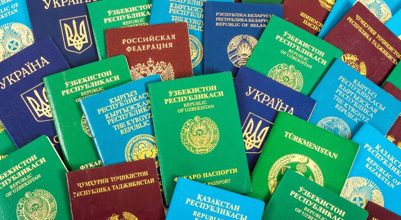 Pasaportlar Neden Sadece Dört Renktir? Renklerin Anlamı Ne? - görsel 2