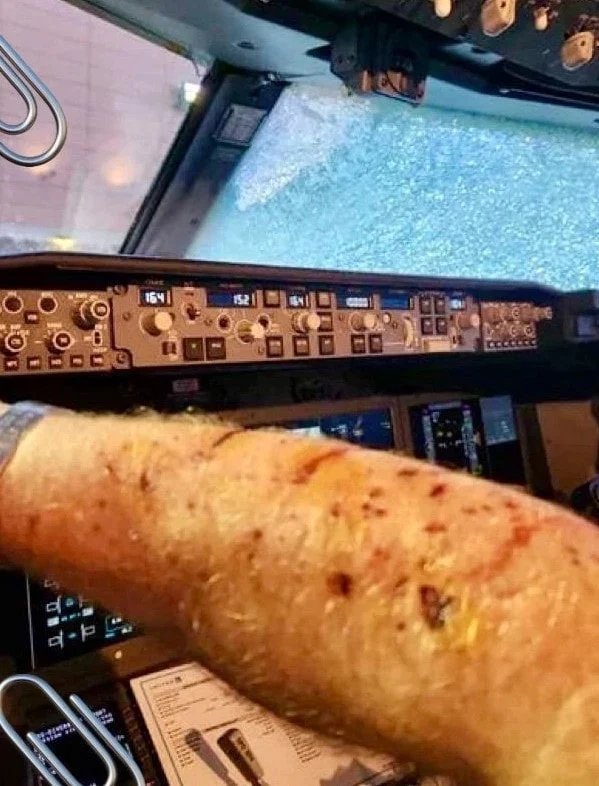 Yolcu Uçağına Meteor Çarptı: Pilot Kanlar İçinde Kaldı, Facia Son Anda Önledi - görsel 2