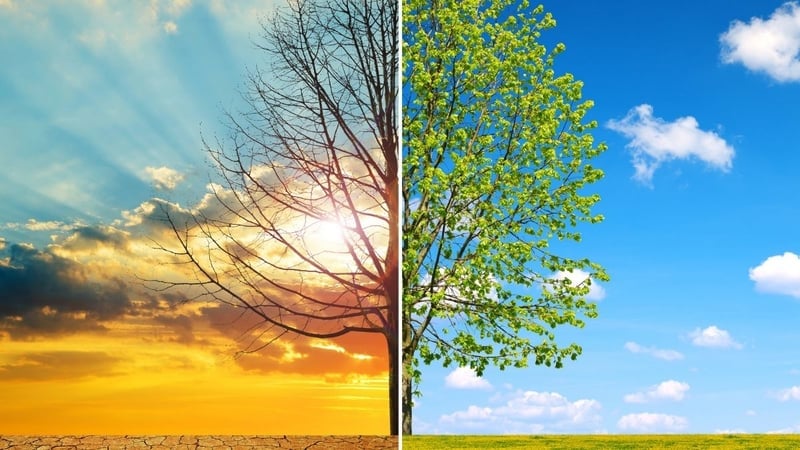 Küresel Isınma Nedir? Neden Olur, Sonuçları Nelerdir ve Gelecekte Bizi Ne Bekliyor? - görsel 3