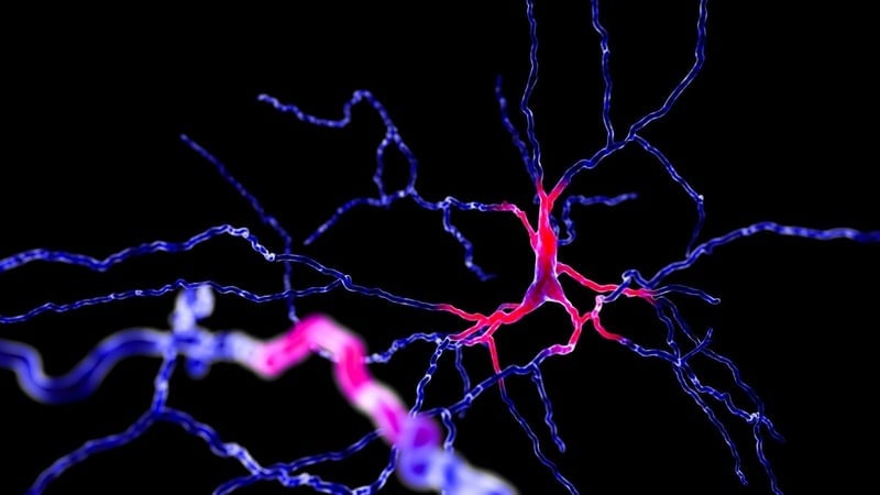 Mutluluk Bilimi: Mutluluk Nedir ? İnsan Beyni Neden Bazı Şeylerle Mutlu Olur? - görsel 2