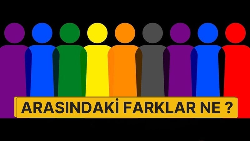 LGBT Ne Demek ? LGBT Bayrağı Hangi Renk ?  LGBTİ, LGBTIQ ve LGBTQ+ Açılımı - görsel 2