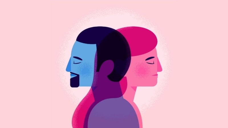 LGBT Ne Demek ? LGBT Bayrağı Hangi Renk ?  LGBTİ, LGBTIQ ve LGBTQ+ Açılımı - görsel 4