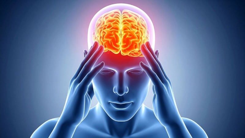 Kafein Nedir? Faydaları, Zararları ve Vücuda Etkileri - görsel 1