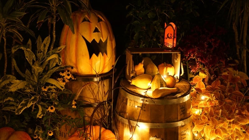 Cadılar Bayramı (Halloween) Nedir, Ne Zaman ve Neden Kutlanır? - görsel 3