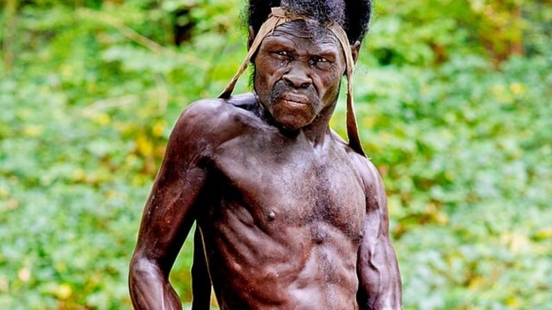 İlk İnsan Kimdi? İnsanlığın Kökeni ve Evrim Süreci - görsel 5