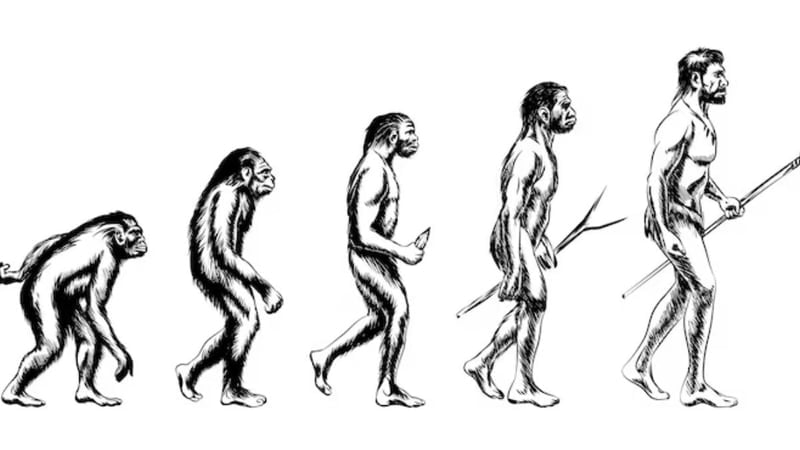 İlk İnsan Kimdi? İnsanlığın Kökeni ve Evrim Süreci - görsel 6