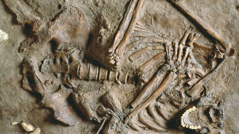 İlk İnsan Kimdi? İnsanlığın Kökeni ve Evrim Süreci - görsel 7