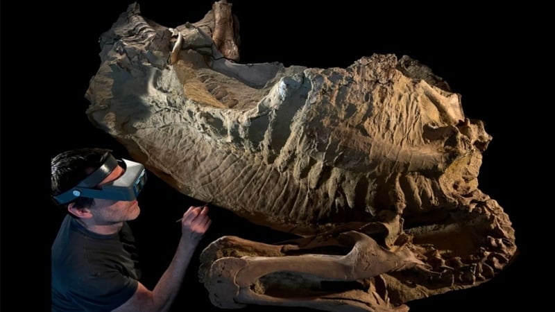 Wyoming’deki Mumyalanmış Dinozorlar Bilim Dünyasını Şaşırttı - görsel 1