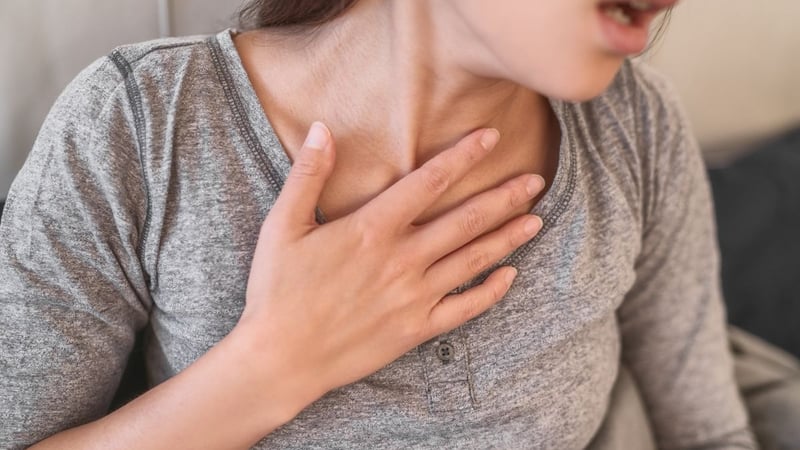 Evcil Hayvan Kılı İnsanı Hasta Eder mi? Uzmanların Yanıtladığı 6 Soru - görsel 3