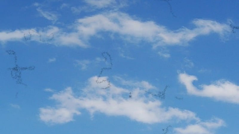 Yüzen Noktalar Nedir? Gözde Uçuşan Cisimlerin Bilimsel Açıklaması - görsel 2