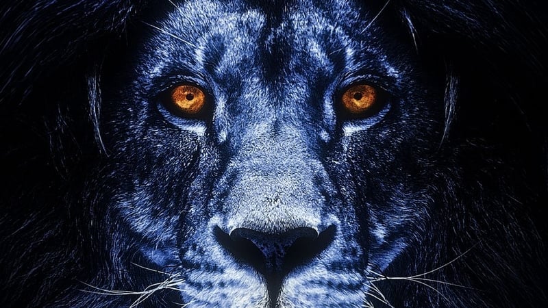 Kunduz Süper Dolunayı Nedir, Ne Zaman Görülür ve Hangi Burçları Etkiler? - görsel 2