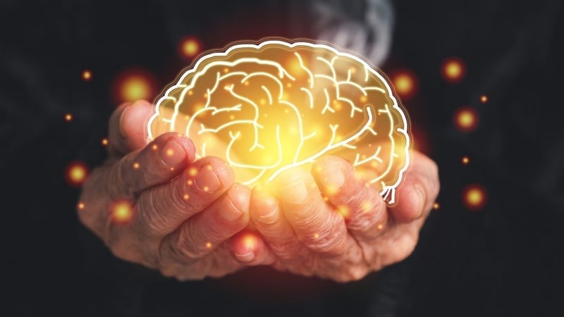 Beyin Neden Bazı Anıları Unutur? Bilimsel ve Psikolojik Gerçekler - görsel 9