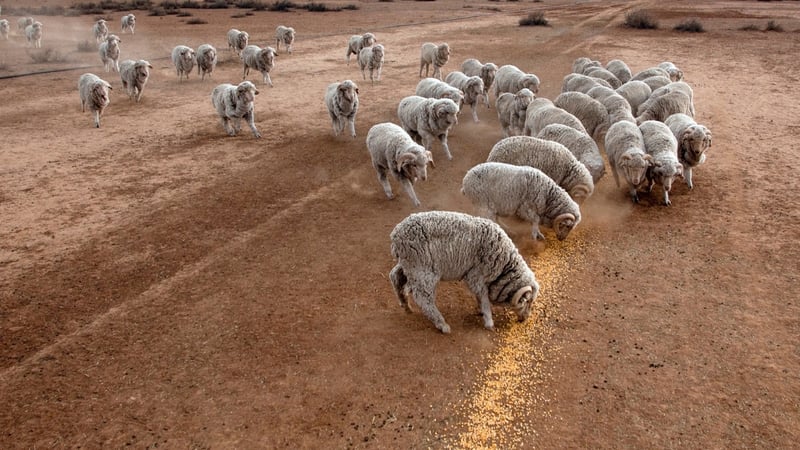 Su Krizi Derinleşiyor: Barajlar Alarm Veriyor, Deniz Suyu Arıtma Çözüm Olabilir mi? - görsel 6