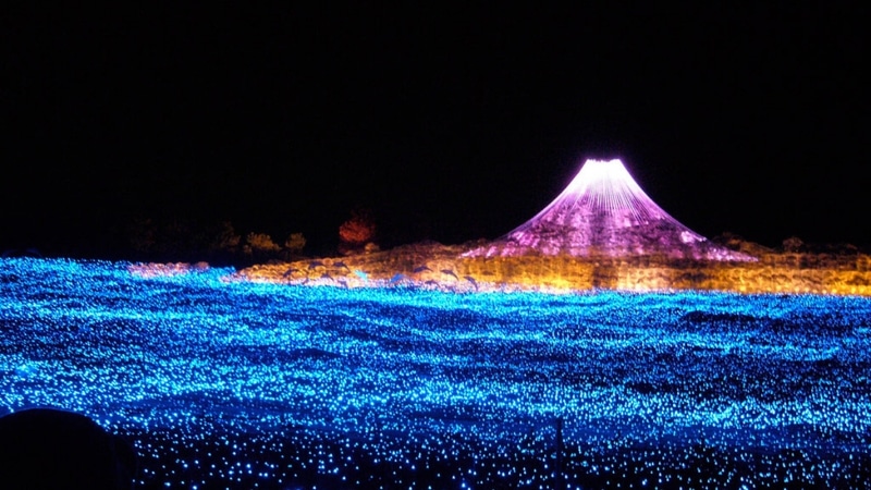 Türkiye’den Göç İçin En Çok Tercih Edilen Ülkeler Hangileri - görsel 7