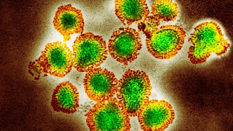 Yeni H3N2 Salgını Kuzey Yarımküreyi Sardı - görsel 1