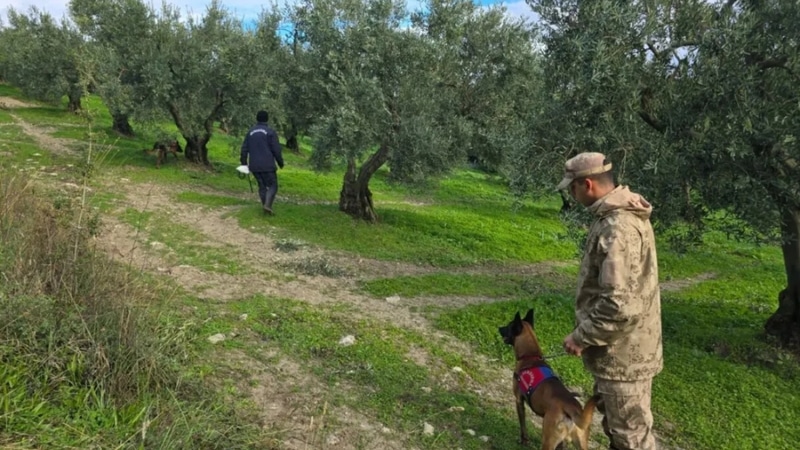 Bursa’da 3 Gündür Kayıp Olan Alzheimer Hastası İçin Arama Çalışmaları Sürüyor - görsel 2