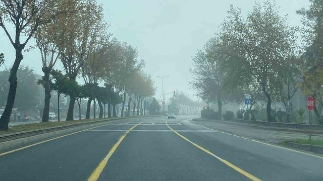 Aydın'da Yoğun Sis Kartpostallık Görüntüler Oluşturdu - görsel 3