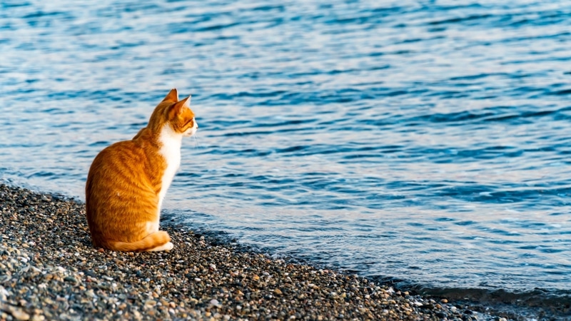 Yatağını Toplamayanların 11 Kişilik Özelliği: Gösterişten Uzaklıktan Yaratıcılığa - görsel 3