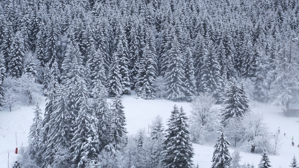 26 Kasım Çarşamba İstanbul Hava Durumu: Kar İçin İlk Tarihler Açıklandı - görsel 3