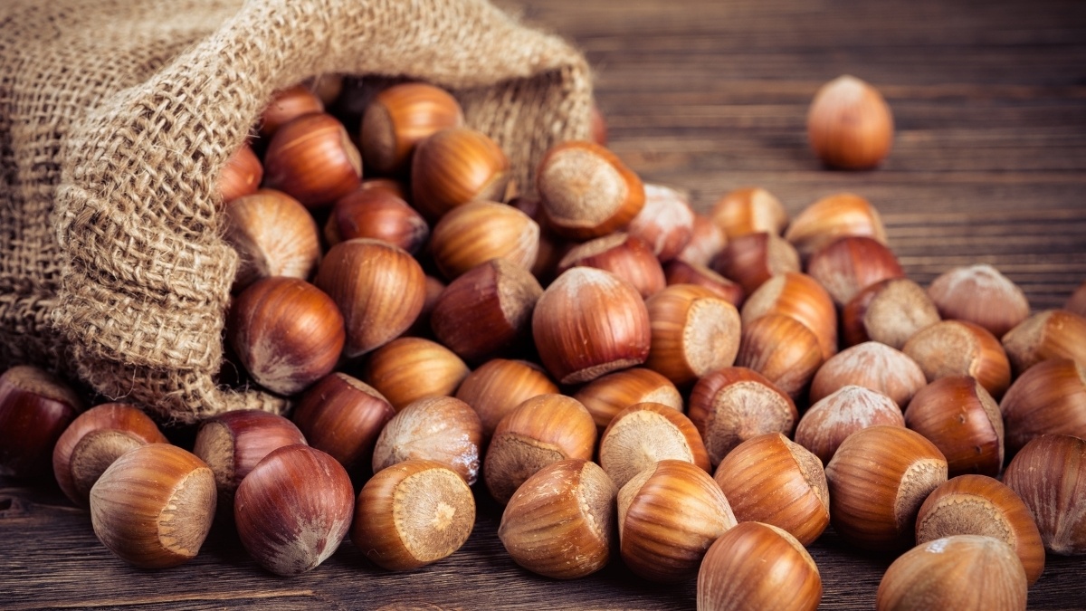 En Sağlıklı 5 Kuruyemiş ve Şaşırtan Faydaları: Günlük Enerjiyi ve Bağışıklığı Güçlendiren Doğal Destek - görsel 3