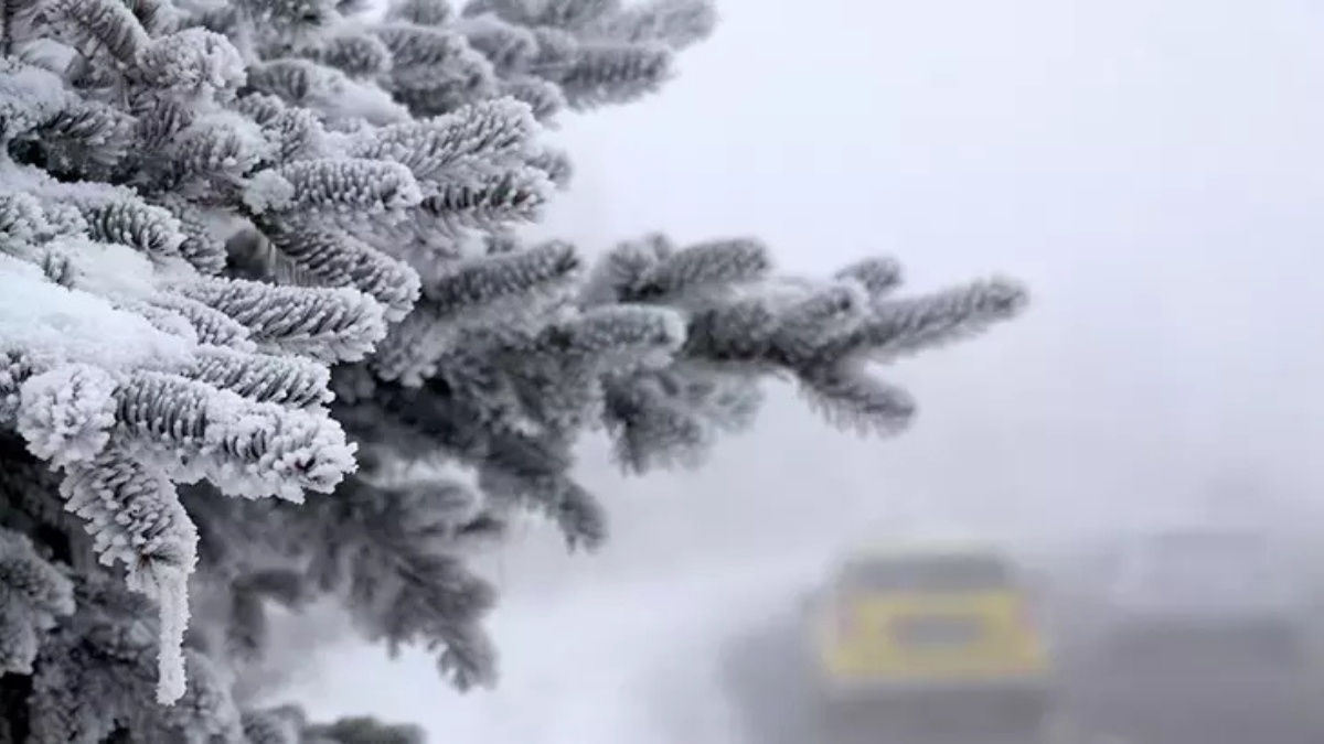 Meteorolojiden Kuvvetli Yağış ve Kar Uyarısı: 1 Aralık Haftası Soğuk Başlıyor - görsel 1