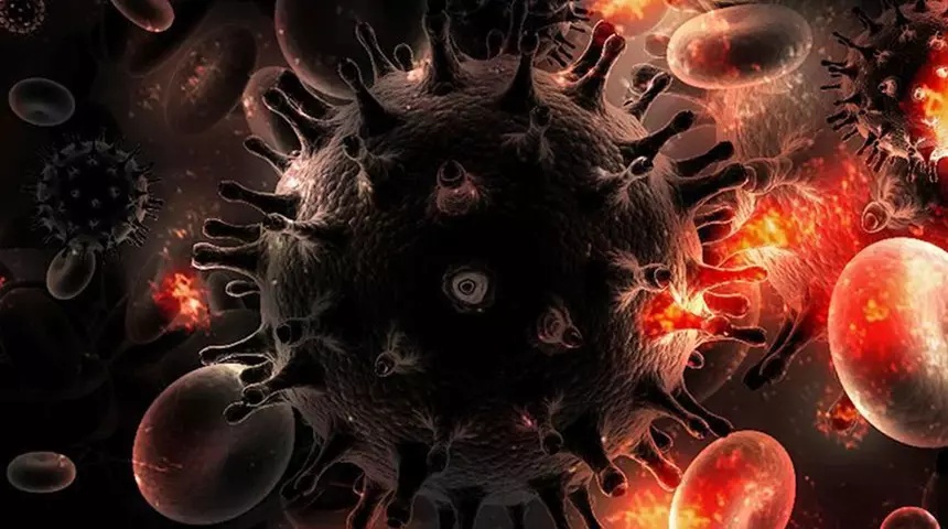 Avrupa’da H3N2 Alarmı: 7 Mutasyon Geçiren Grip Virüsü İçin Türkiye’ye Uyarı - görsel 4