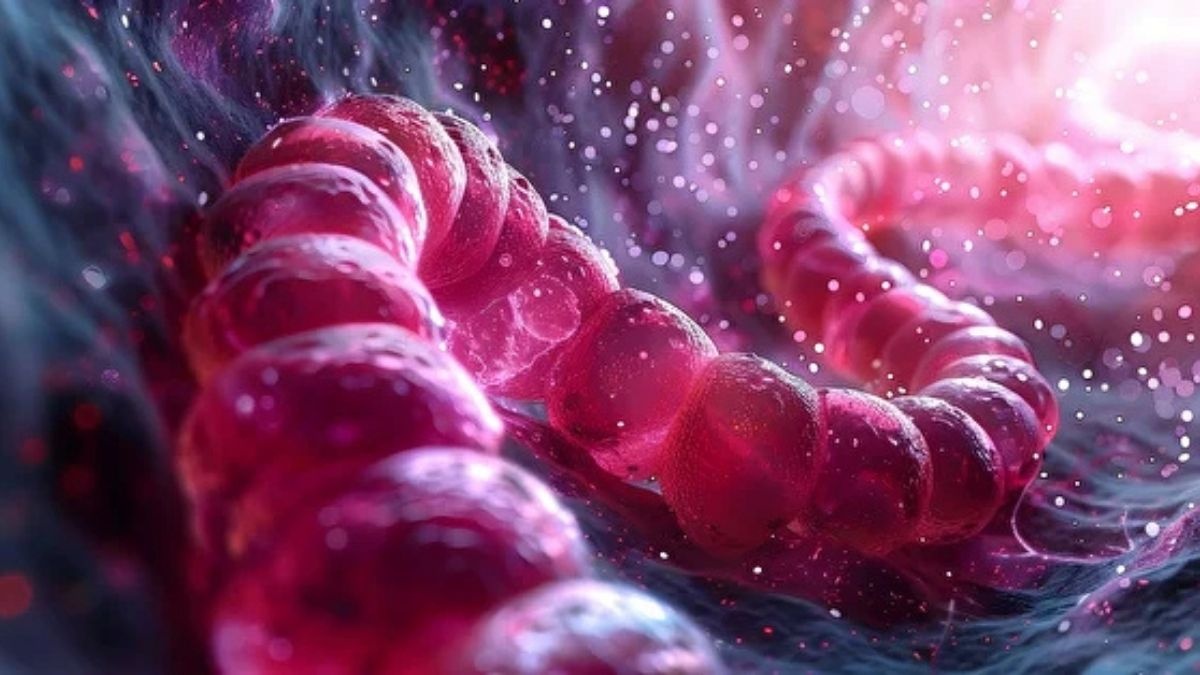 Murat Cemcir’i Yoğun Bakıma Götüren Sinsi Tehlike: Divertikül Kanaması Uyarısı - görsel 1