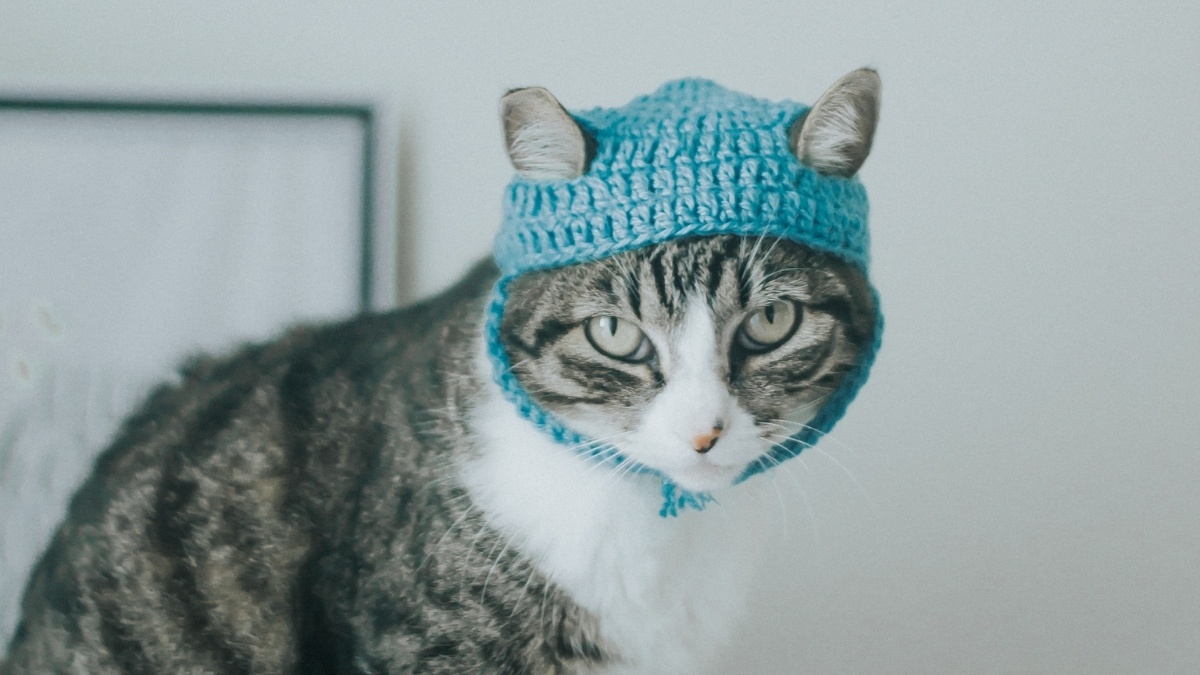 Yatağını Toplamayanların 11 Kişilik Özelliği: Gösterişten Uzaklıktan Yaratıcılığa - görsel 2