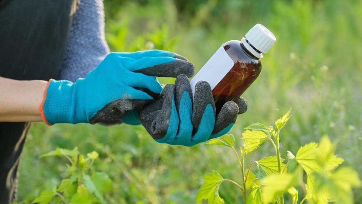 Böcek İlaçları Artık Reçetesiz Satılmayacak: İnternet Satışı Yasak, Cezalar Belli Oldu - görsel 1