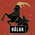 Seçenek Görseli