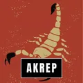 Seçenek Görseli