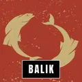 Seçenek Görseli